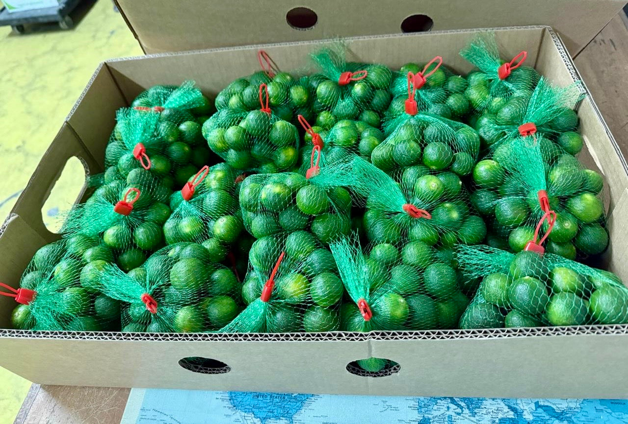 Fresh Philippine calamansi packed in green nets inside a cardboard box, sourced by Island Mango Ireland.