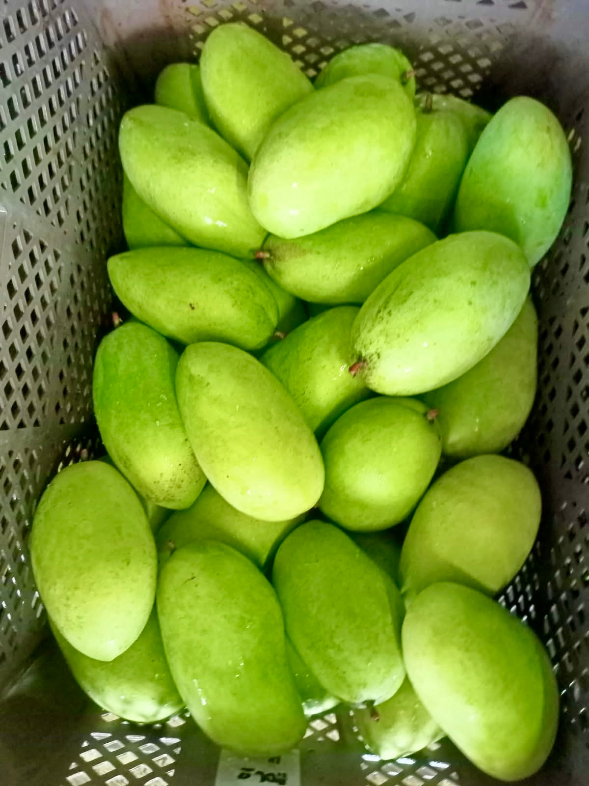 Fresh green Carabao mangoes in a crate, sourced from the Philippines by Island Mango Ireland