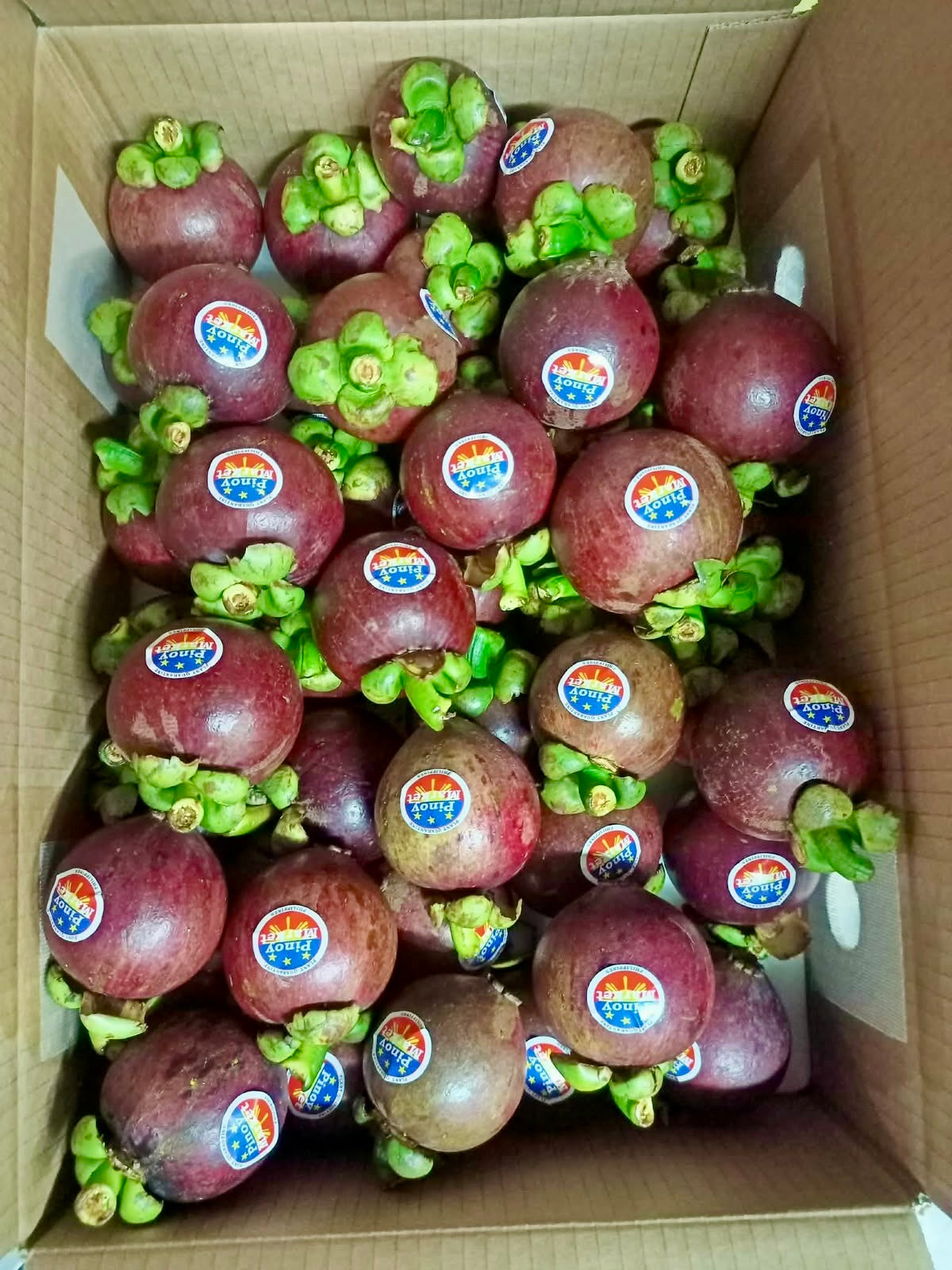 Box of fresh Philippine mangosteens with Pinoy stickers, sourced and delivered by Island Mango Ireland.