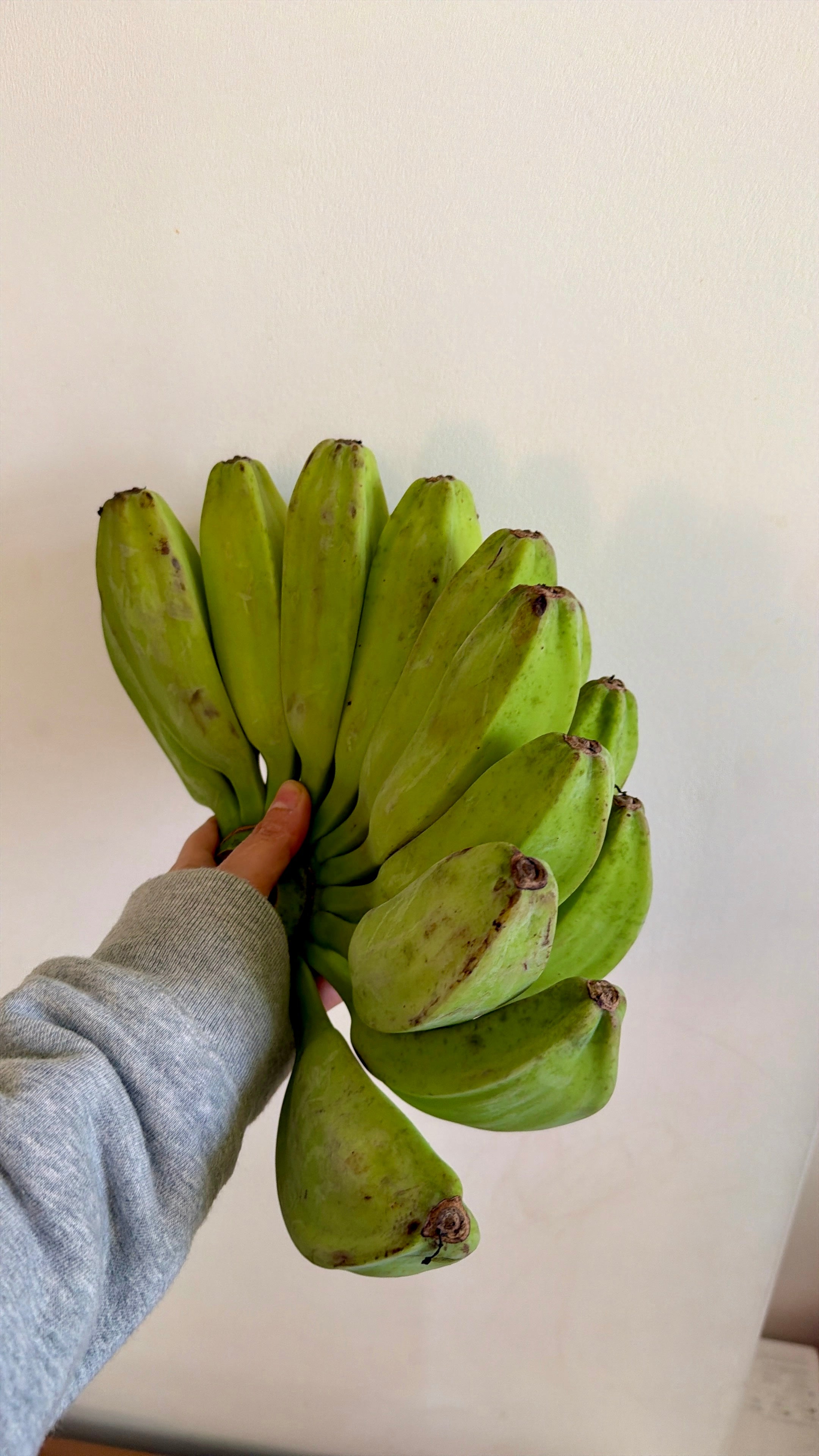 Hand holding a fresh bunch of Philippine Saba bananas from Island Mango Ireland.